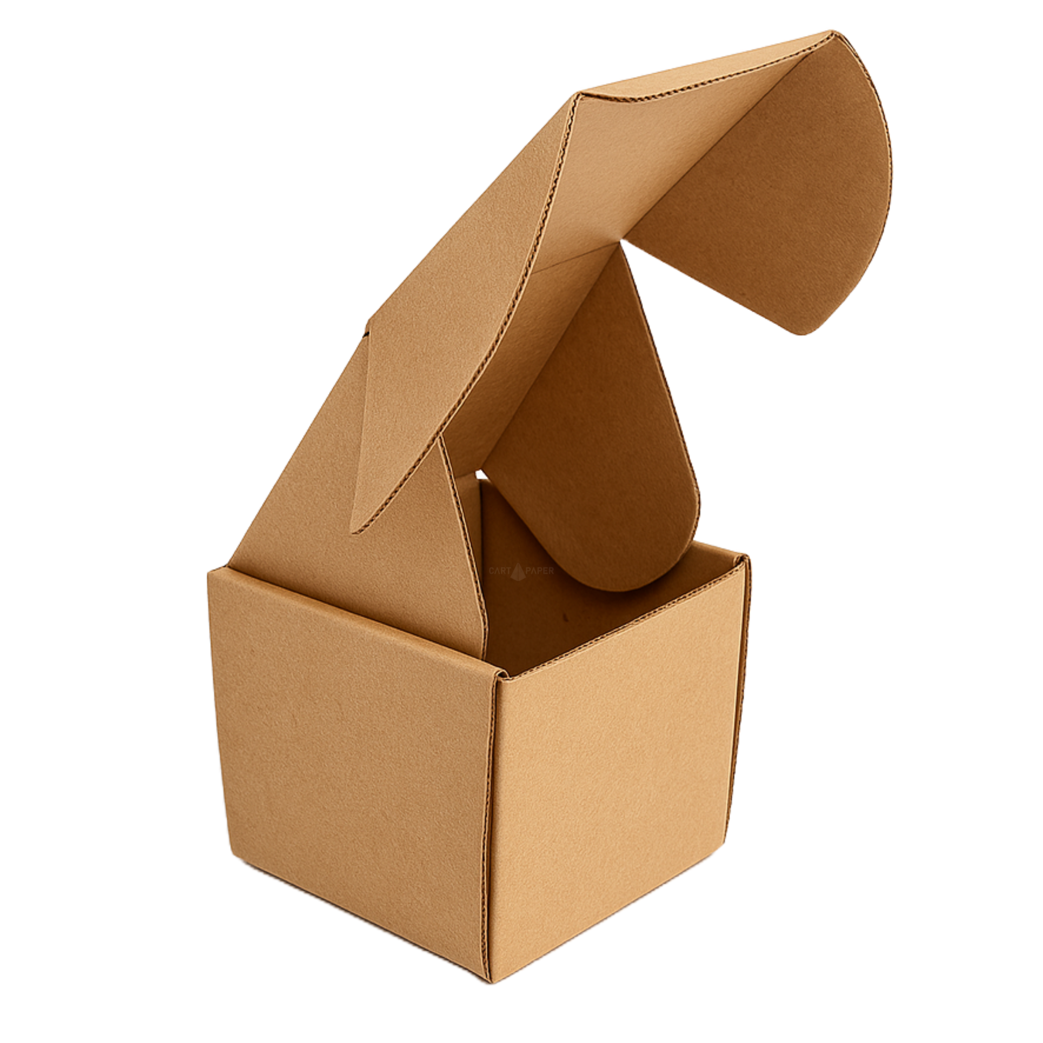 Caja autoarmable 12x12x12 PACK 25 unidades