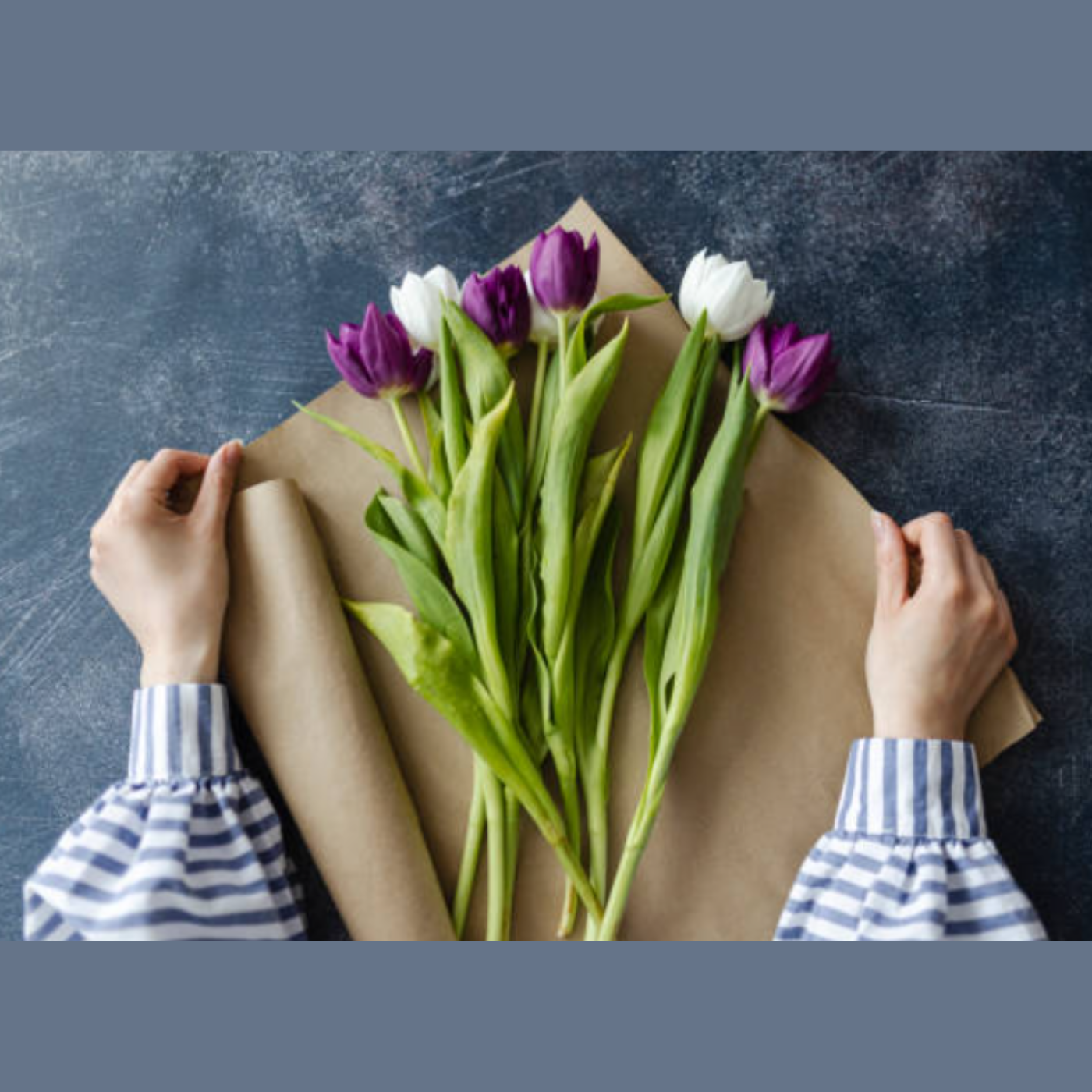 Dispensador Cortador para Rollo papel kraft