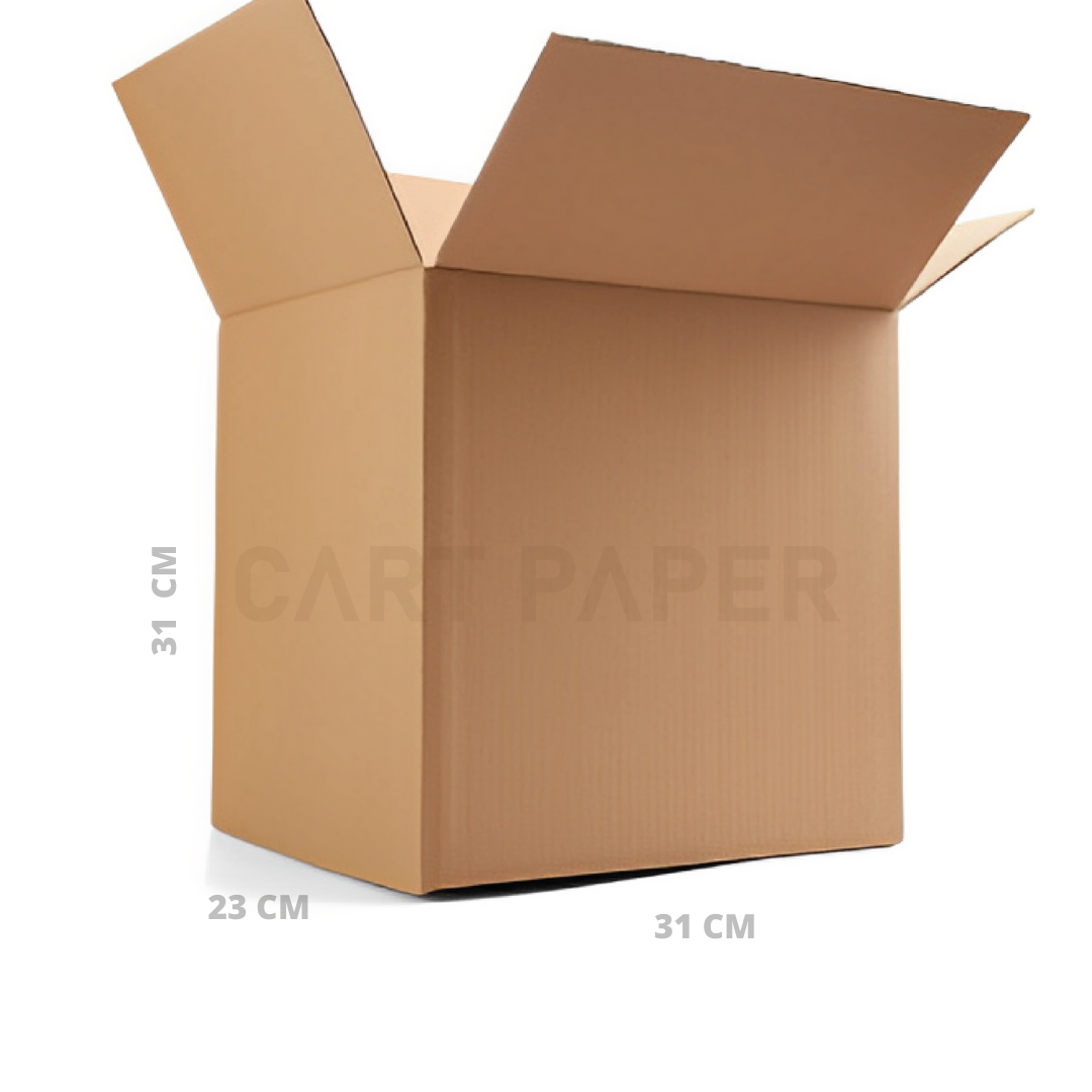 Caja de Embalaje 31X23X31 PACK 25
