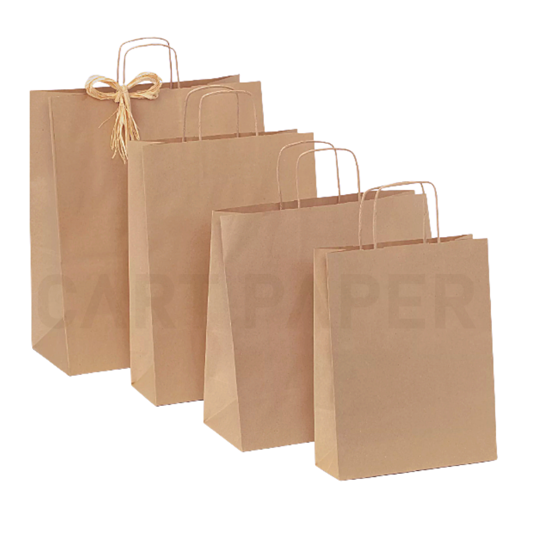 Bolsa Papel Kraft con Manilla 22x32 Pack 50